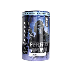 skull-labs-perfect-amino-450g